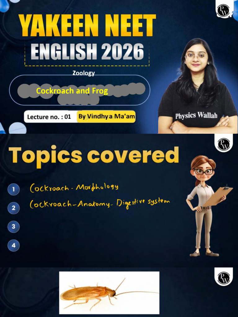 Cockroach and Frog 01 Class Notes | PDF
