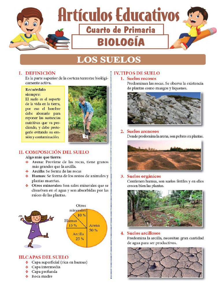 Los Suelos para Cuarto de Primaria | PDF