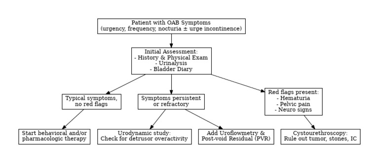 OAB Symptoms Assessment and Management | PDF