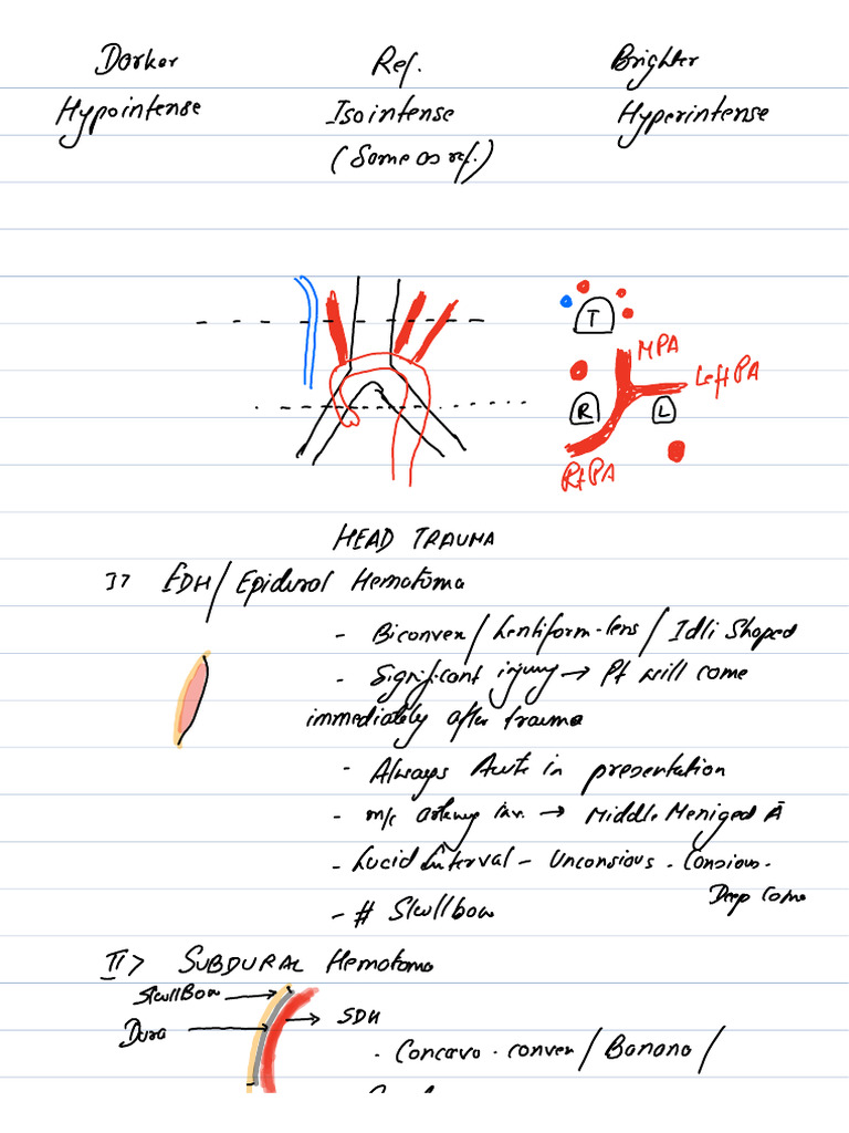 Note 5 Oct 2024 2 | PDF