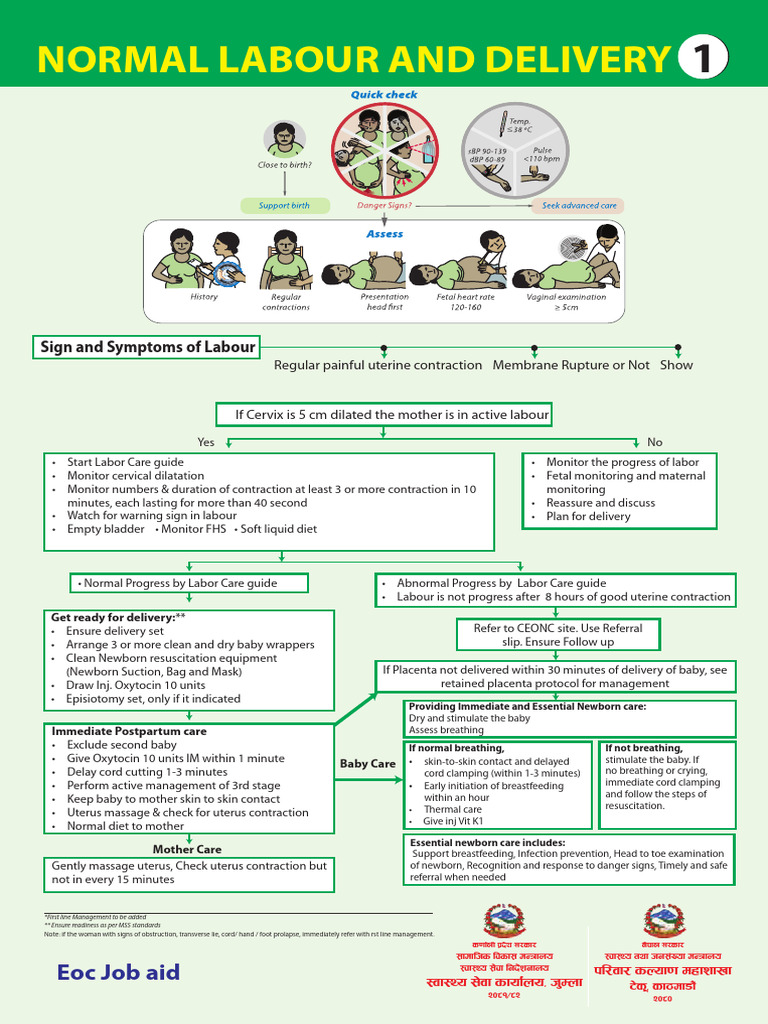 Normal Labour and Delivery Guidelines | PDF | Childbirth | Medical ...