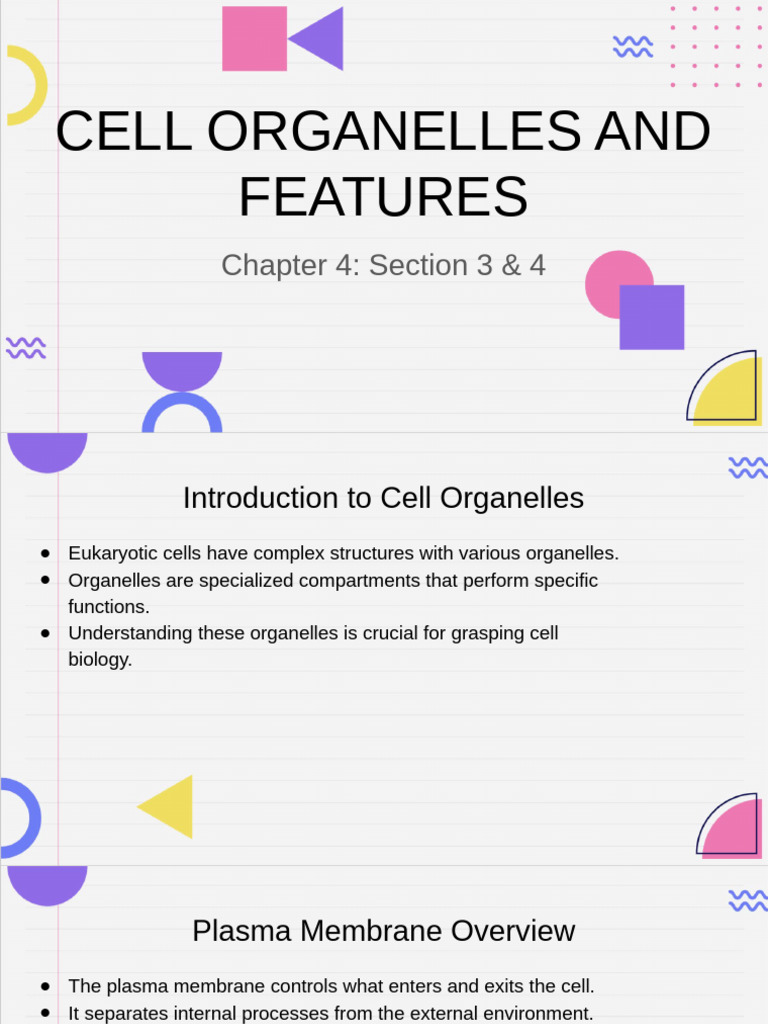 Chapter 4 - Section 3 & 4 Lecture | PDF | Cell (Biology) | Cell Membrane
