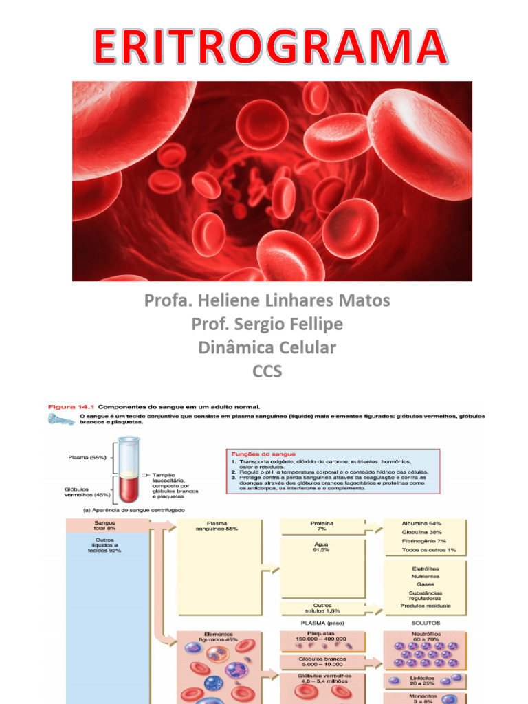 Hemograma: Entenda o Eritrograma | PDF | Anemia | Medicina Clínica