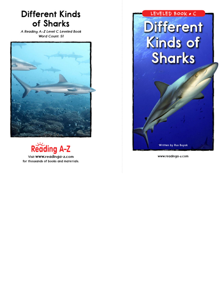 Exploring Various Shark Species | PDF | Sharks | Fish