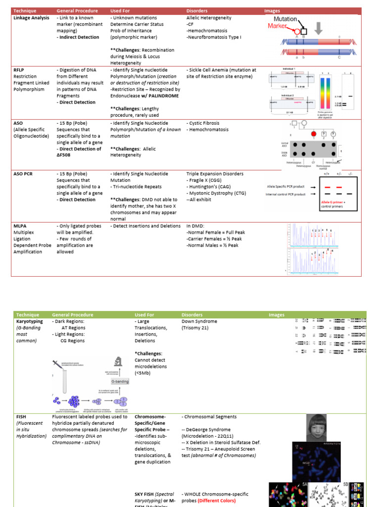 Genetic Testing Techniques Overview | PDF | Biochemistry | Chemistry