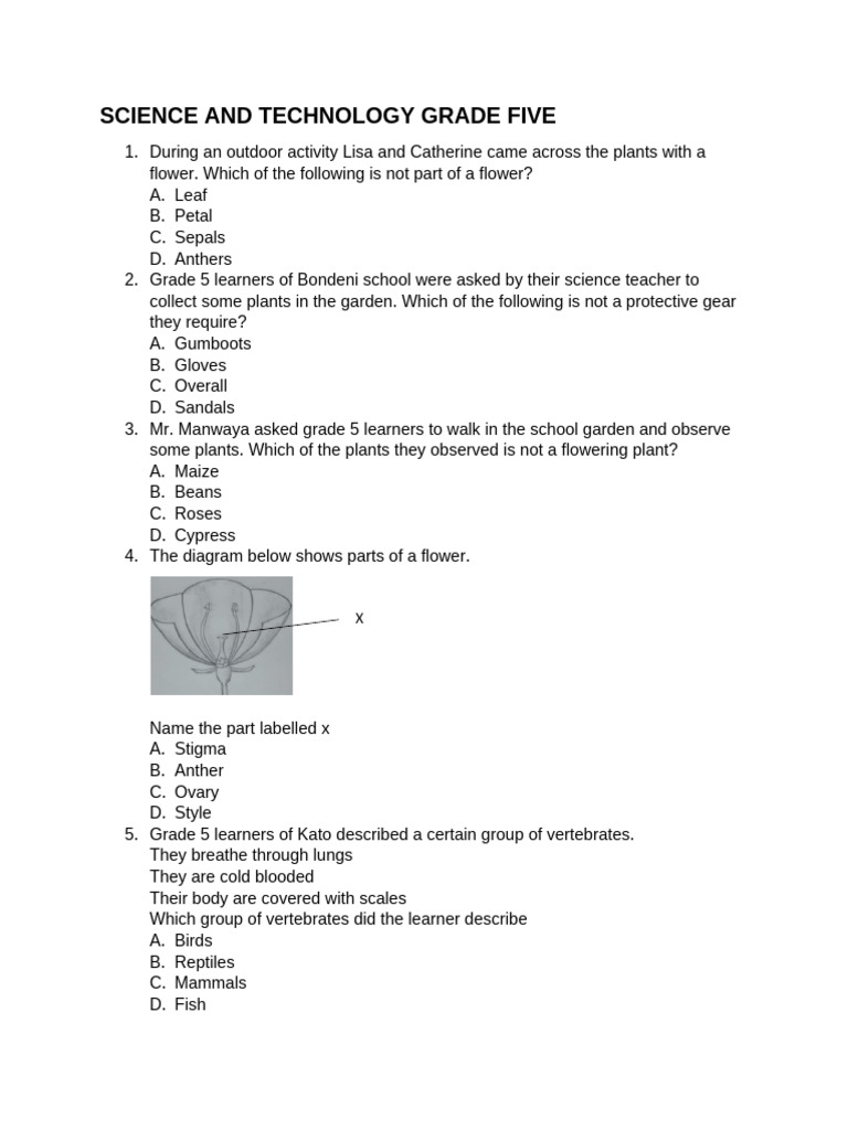 Grade 5 Science and Technology Exam | PDF | Mixture | Flowers