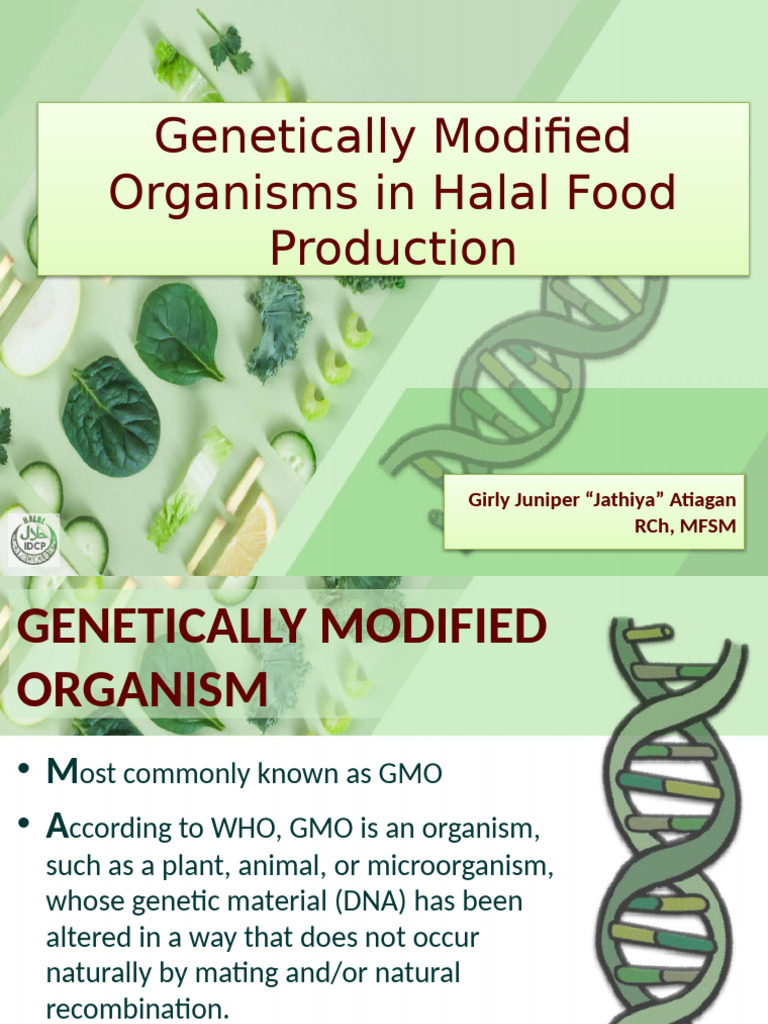 GMO in Halal Food Production | PDF | Genetically Modified Food ...