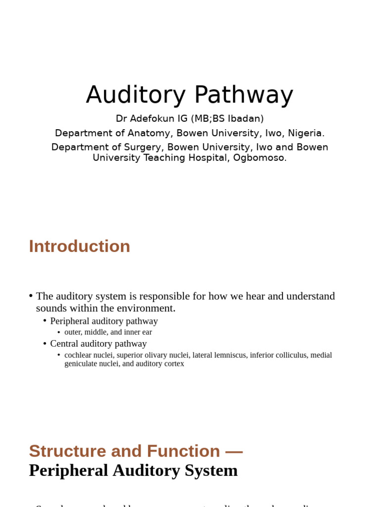 Auditory Pathway Structure and Function | PDF | Auditory System | Ear