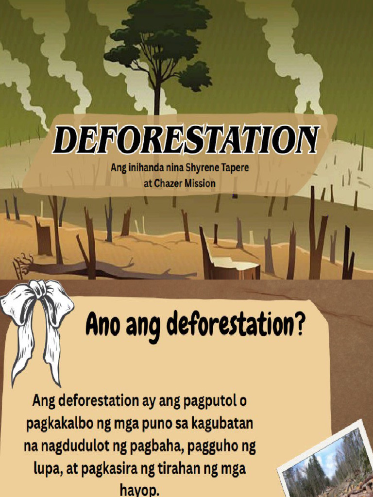 Deforestation Report | PDF