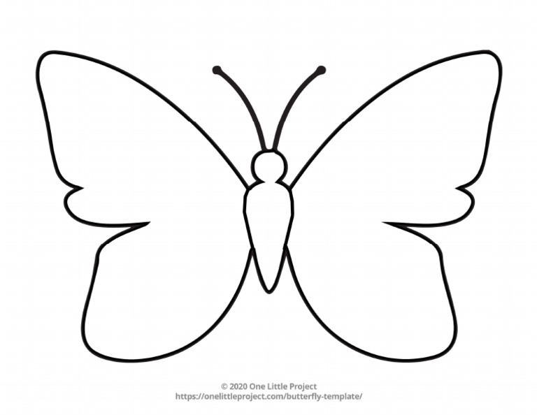 Butterfly Template 1 | PDF