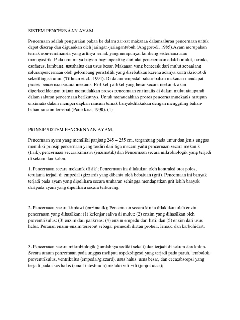 96 Gambar Sistem Pencernaan Unggas Gratis