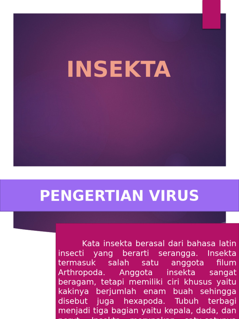 Ciri dan Klasifikasi Insekta Lengkap | PDF