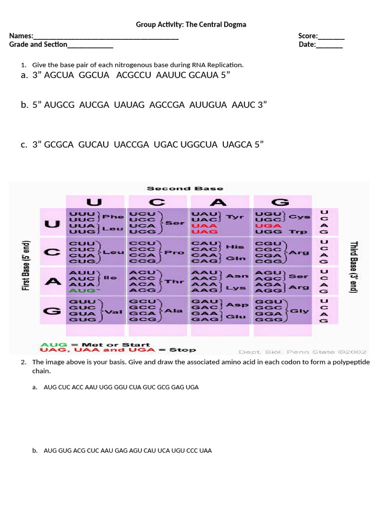 Group Activity 1 | PDF