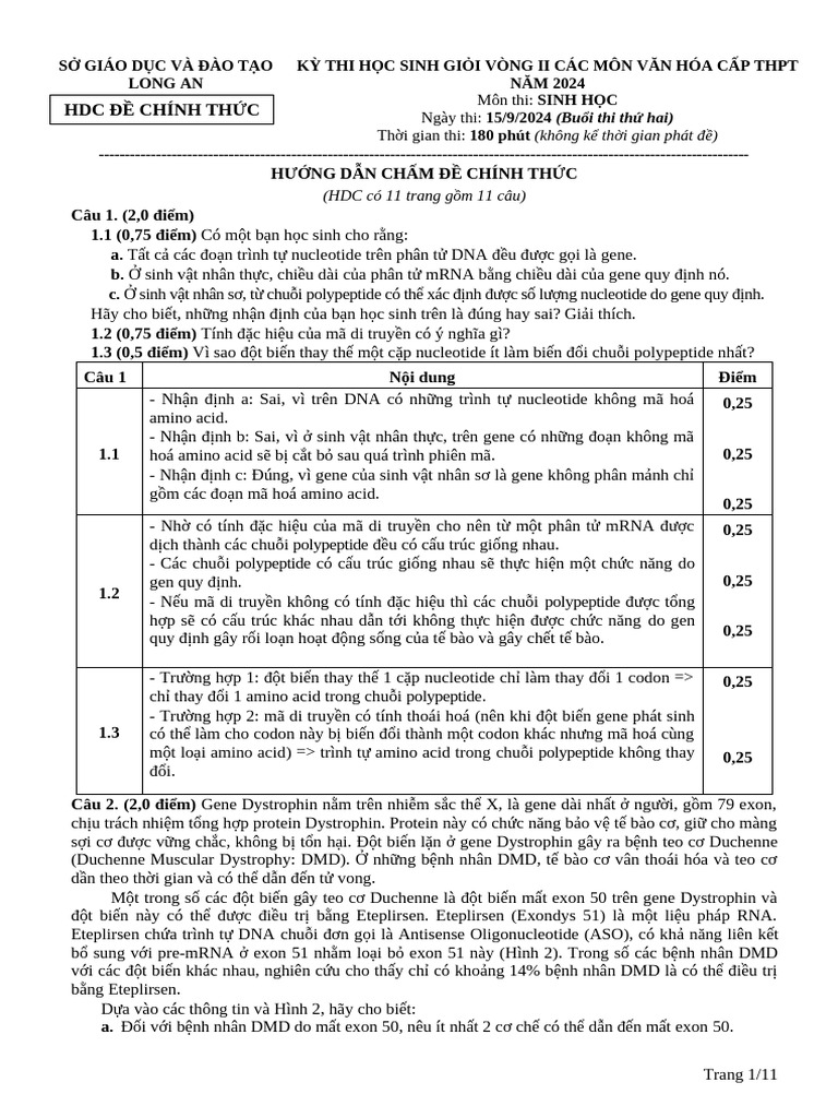 HDC CT v2 - 2024 Buoi 2 | PDF