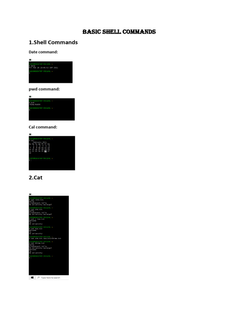 Basic Shell Commands | PDF