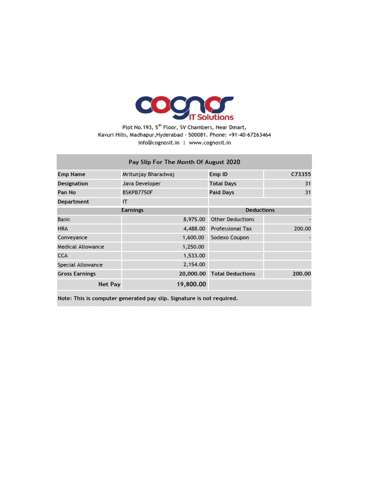 August 2020 Pay Slip for Java Developer | PDF