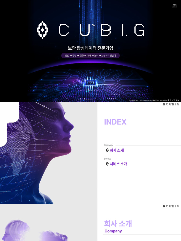 CUBIG Investor Relations 2024 Overview | PDF