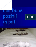 Cele Mai Bune Pozitii in Pat