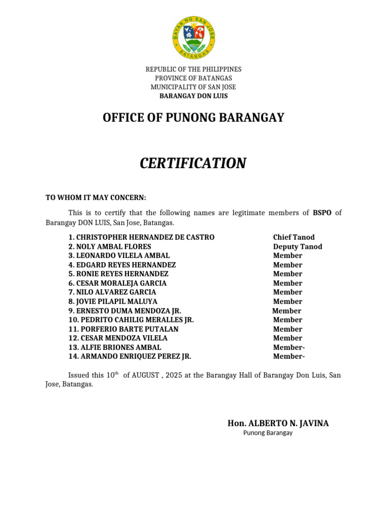 Barangay Don Luis BSPO Certification | PDF