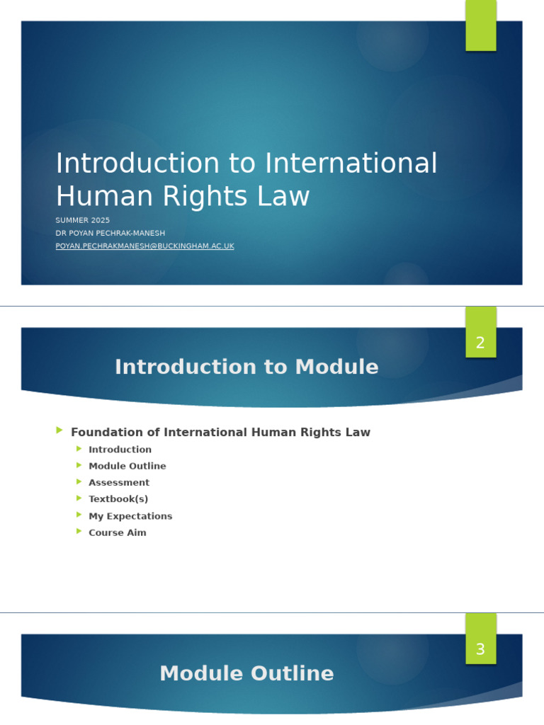 Overview of International Human Rights Law | PDF | International Law ...
