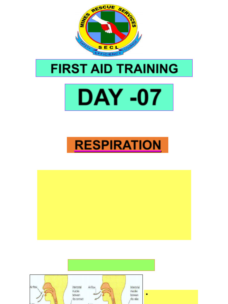 First Aid Trianing - Day-7 | PDF | Cardiopulmonary Resuscitation ...
