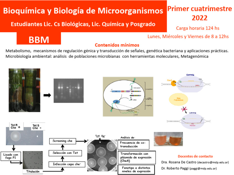 BBM (A-36) Curso 2022 Banner | PDF