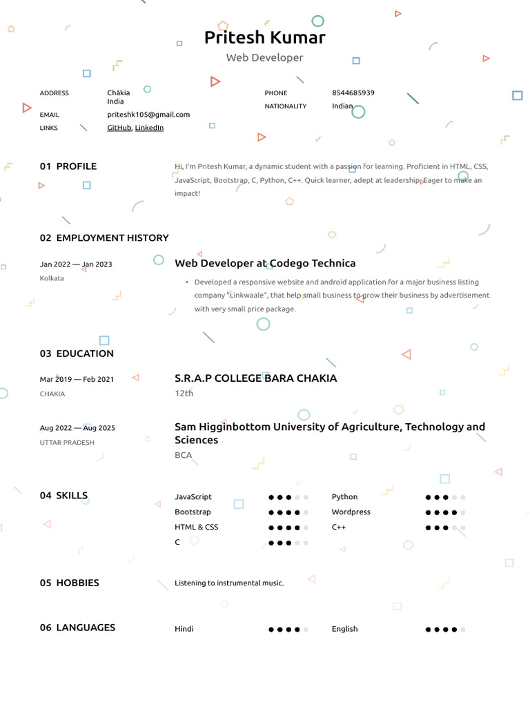 Pritesh Kumar: Web Developer Profile | PDF