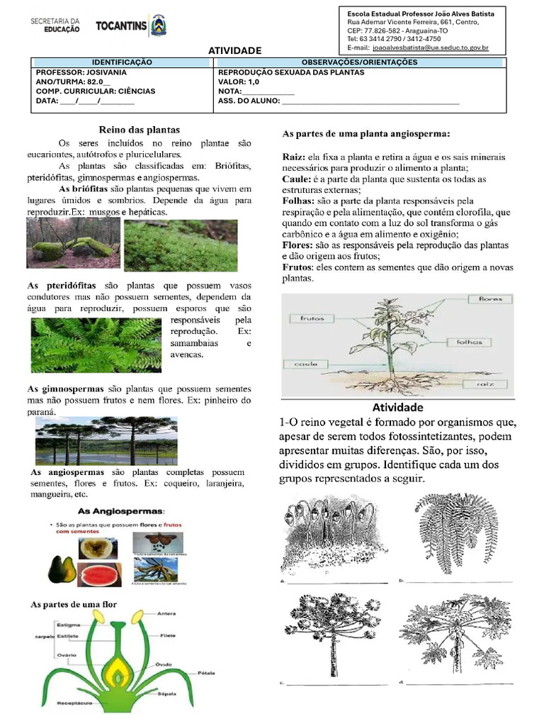 Reproduzindo Plantas: Atividade de Ciências | PDF | Semente | Plantas