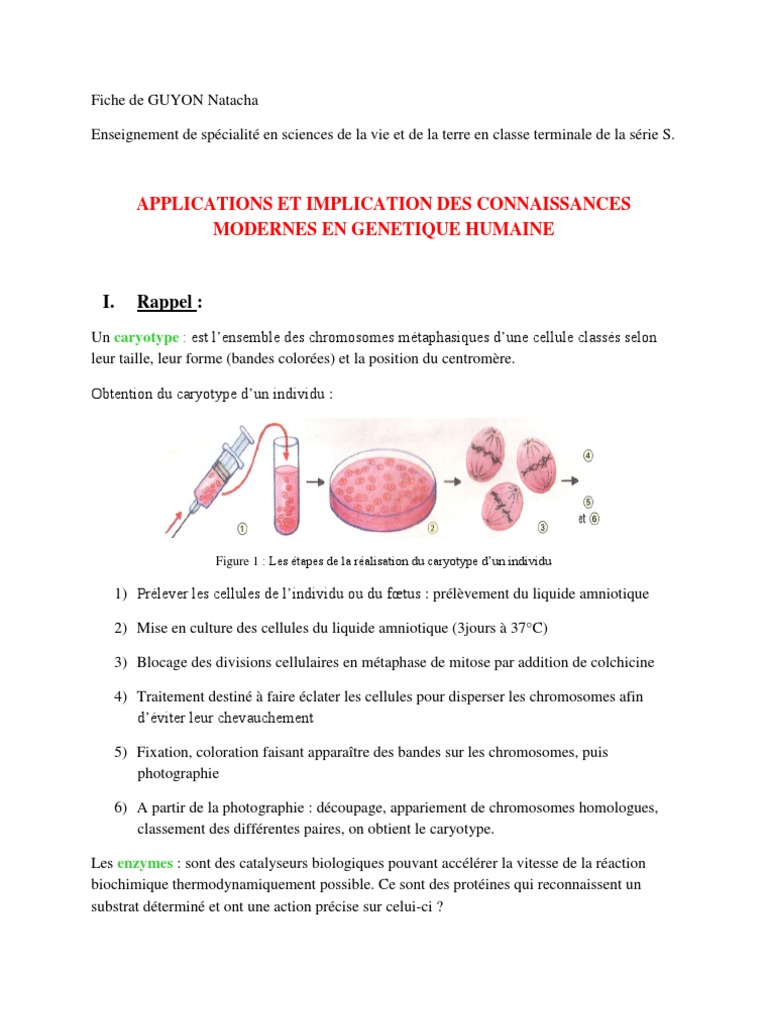 Sujet bac anglais pdf picture