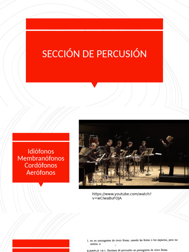 instrumentos-de-percusi-n-en-orquesta-pdf