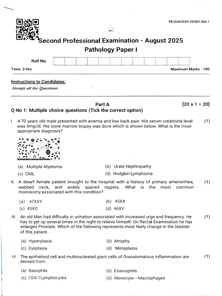 3rd Year Professional Examination MBBS - Edited | PDF | Infection | Lung