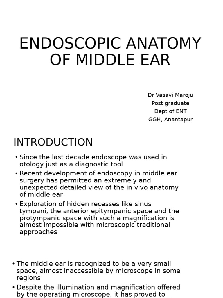 Endoscopic Anatomy of the Middle Ear | PDF | Ear | Human Anatomy
