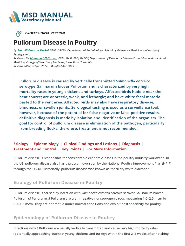 Pullorum Disease in Poultry - Poultry - MSD Veterinary Manual | PDF ...