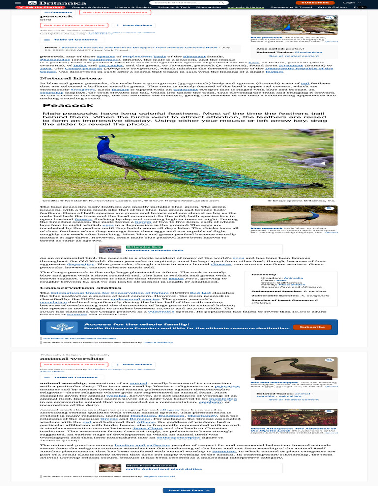 Peacock Facts & Habitat Britannica | PDF | Peafowl | Birds