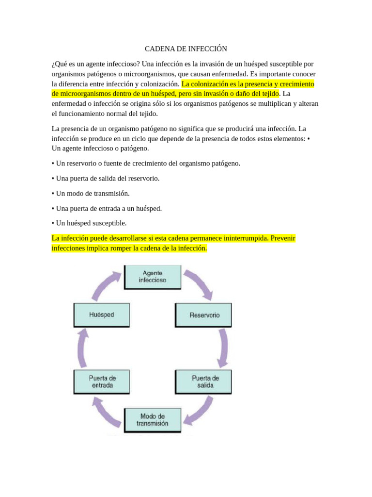 Cadena de Infección: Prevención y Control | PDF | Inflamación | Infección