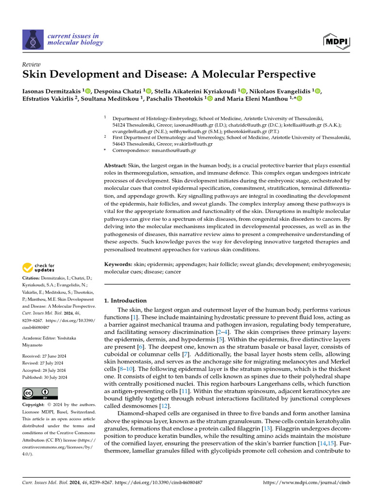 Molecular Insights into Skin Development | PDF | Epidermis | Skin