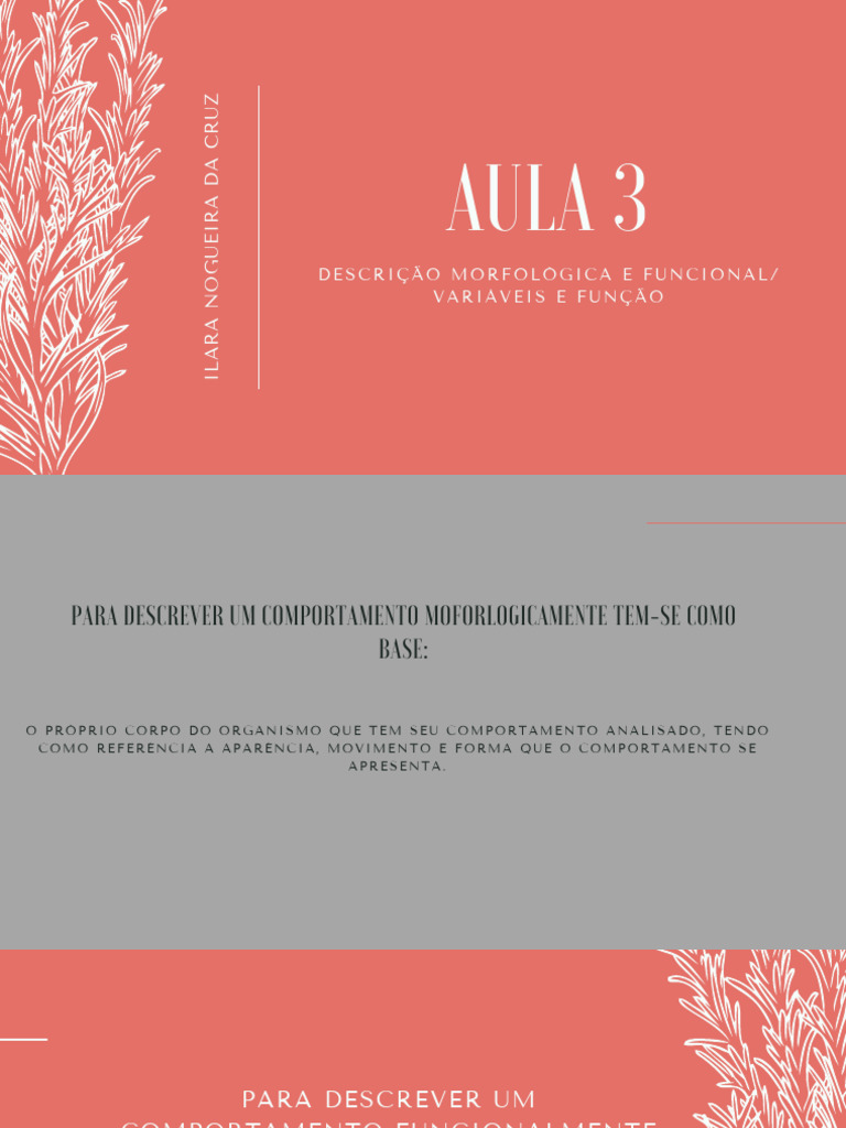 Aula 3 | PDF