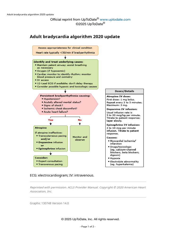 Adult Bradycardia Algorithm 2020 Update | PDF
