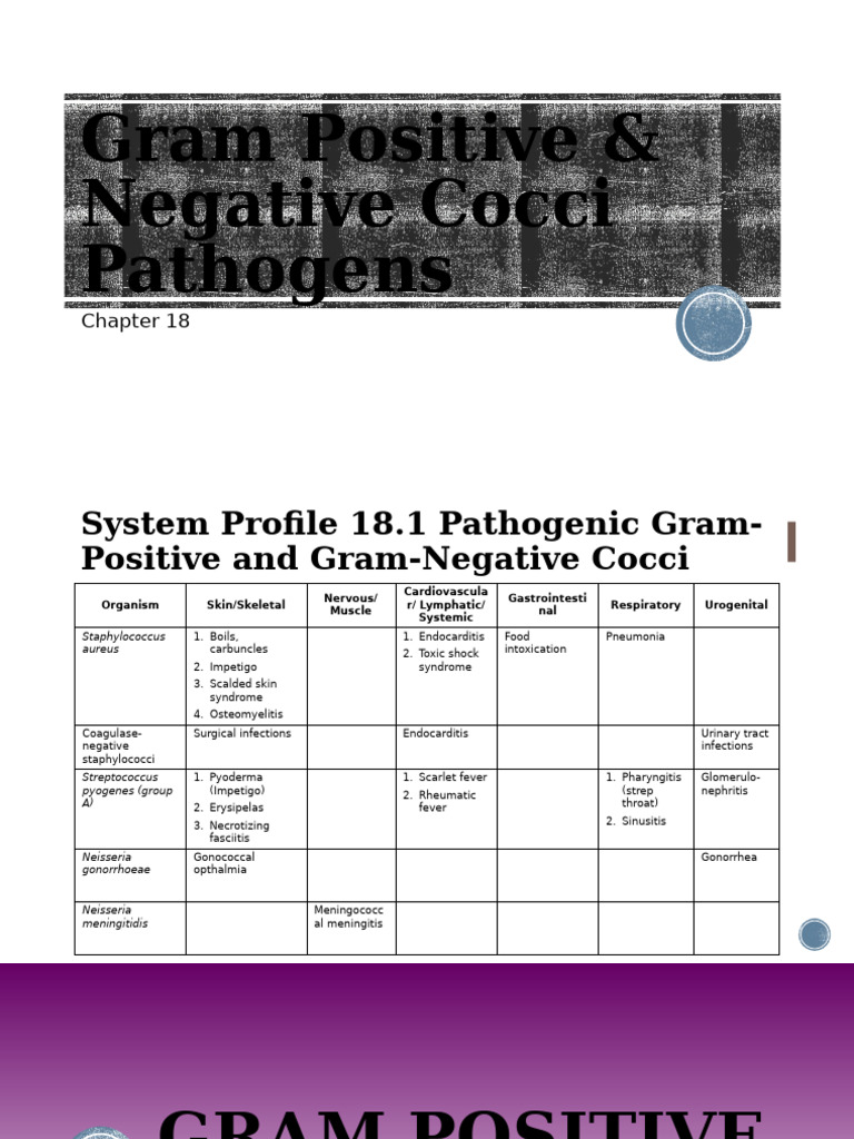 ? Pathogenic Gram Positive and Negative Cocci | PDF | Staphylococcus ...