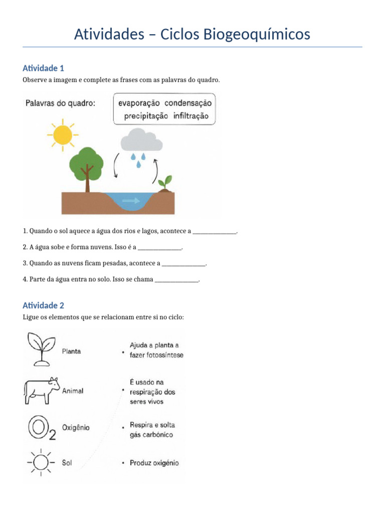 Atividades sobre Ciclos Biogeoquímicos | PDF