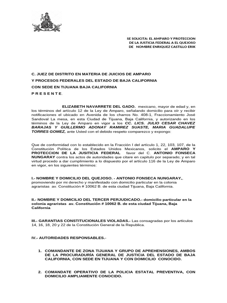 Amparo Elizabeth | PDF | Caso de ley | Derecho Constitucional