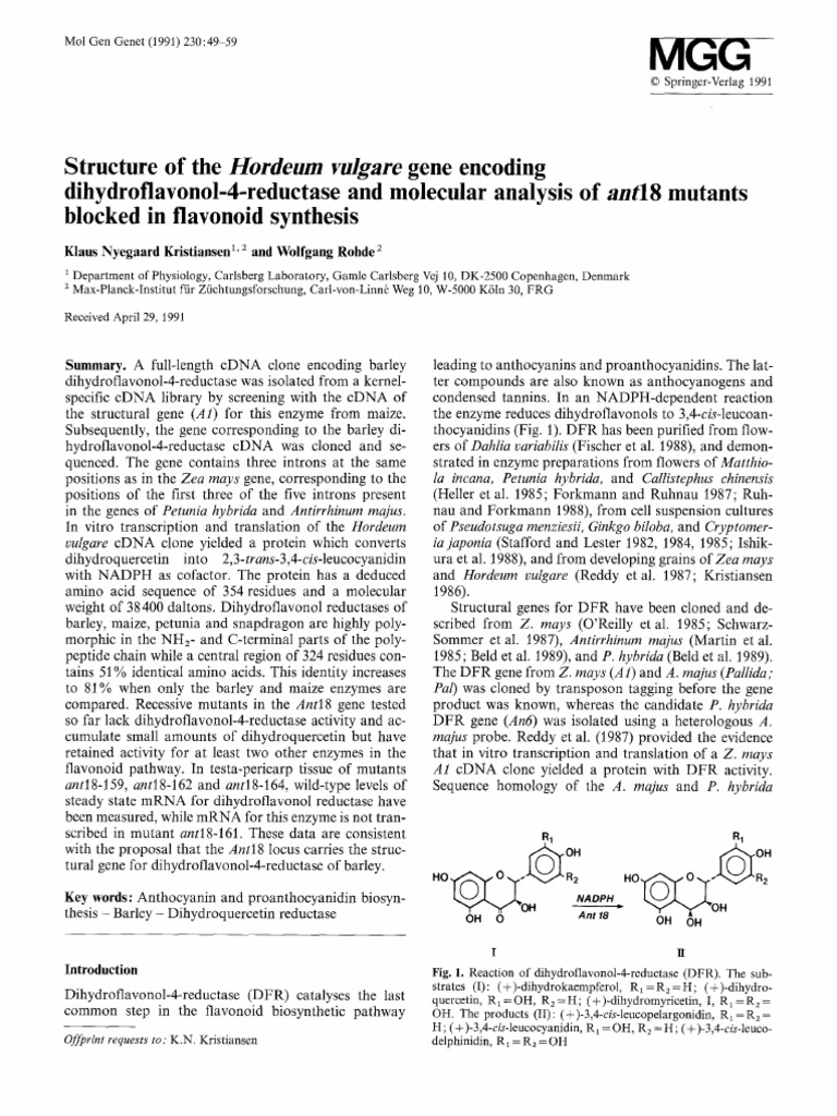 Barley Dihydroflavonol-4-Reductase Gene | PDF | Complementary Dna | Dna ...