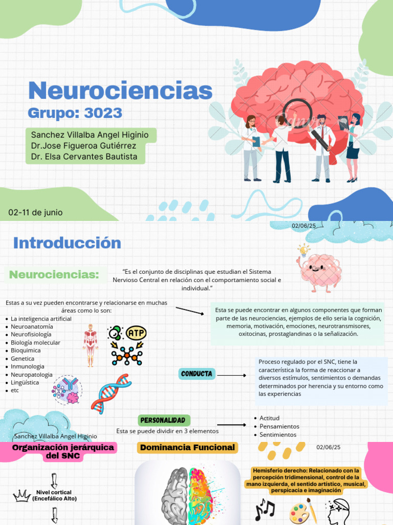 Introducción a las Neurociencias | PDF | Sinapsis | Potencial de acción