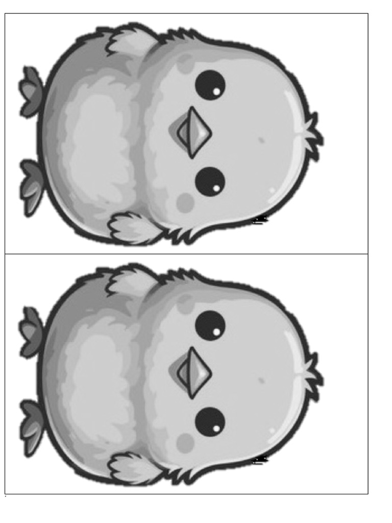 Pollito | PDF