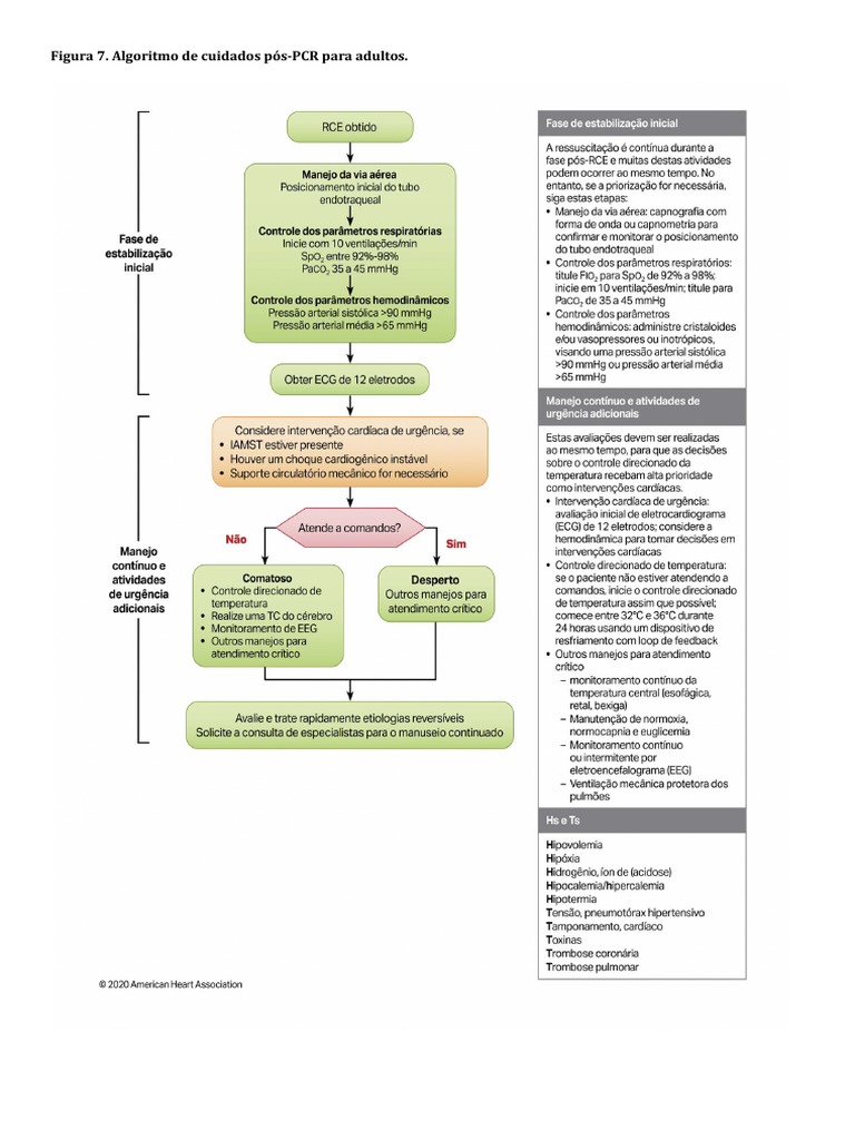 cuidados-p-s-pcr-adultos-aha-2020-pdf