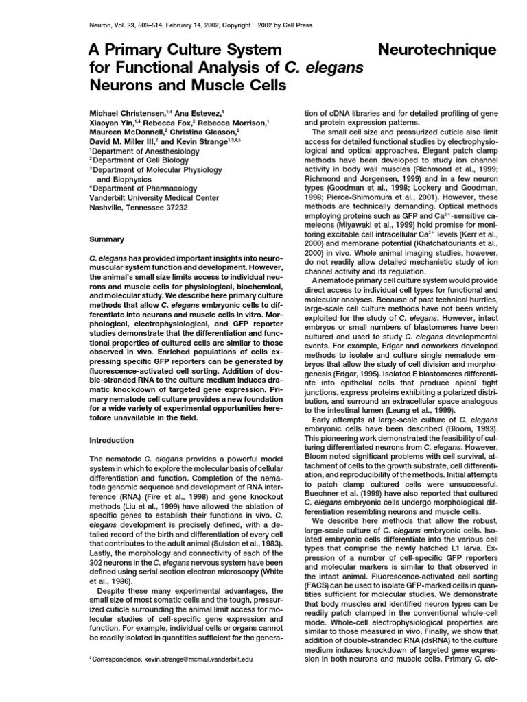 C. elegans Neuron and Muscle Cell Culture | PDF | Green Fluorescent ...