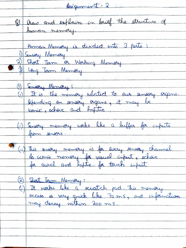 Hci Assignment 2 Pdf