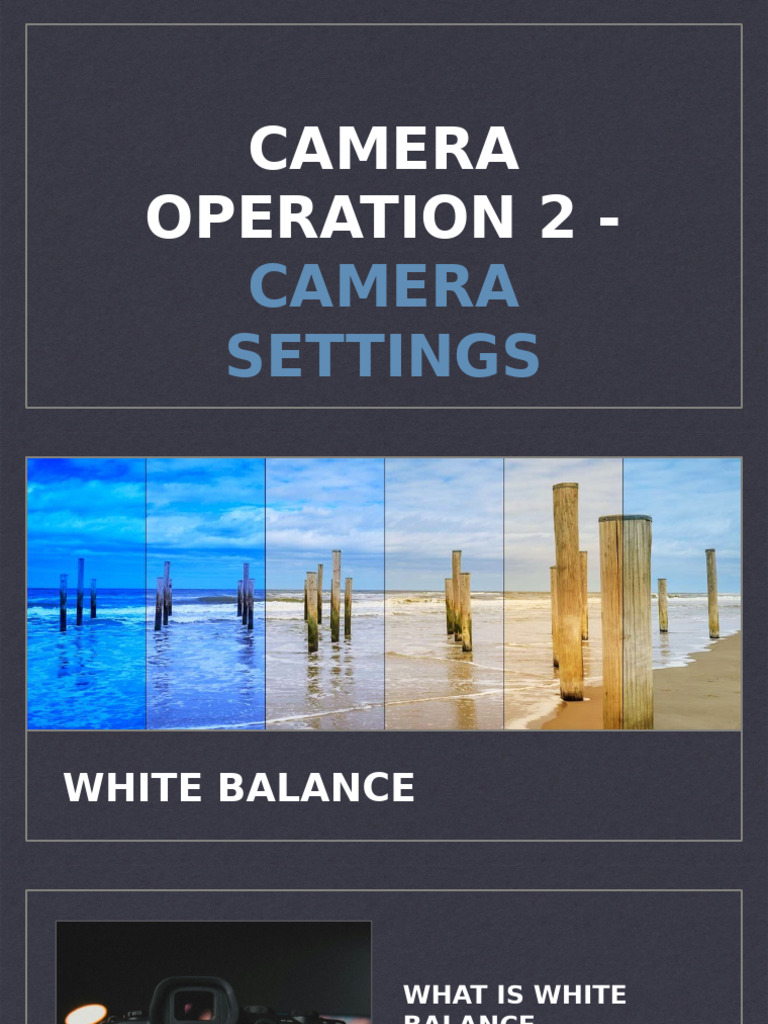 Understanding Camera Settings and White Balance | PDF | Shutter ...