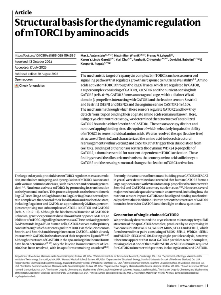 Structural Basis For The Dynamic Regulation of mTORC1 by Amino Acids ...
