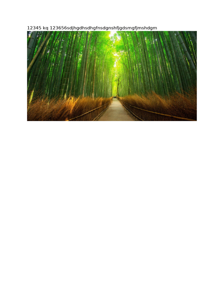File 3 | PDF